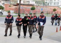 AVSALLAR - Azılı Hırsızlar Arkadaşlarına Yiyecek Getirince Yakalandı