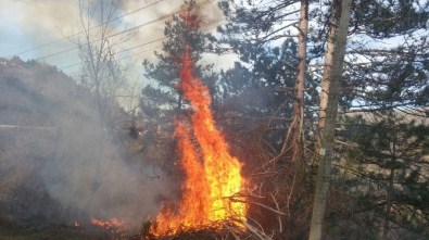Kastamonu'da Orman Yangını