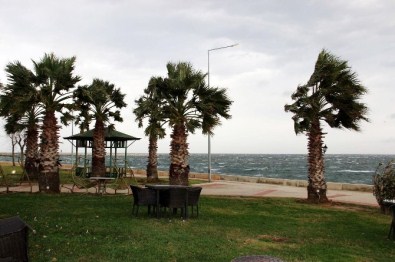 Yalova'da Fırtına Günlük Hayatı Etkiledi