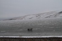 Ardahan'ı Soğuk Vurdu