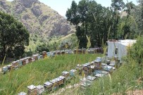 Arıcılara 350 Bin TL Arılı Kovan Desteği