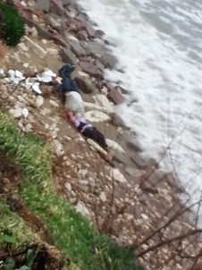 Ayvalık'ta İki Mülteci Cesedi Kumsala Vurdu