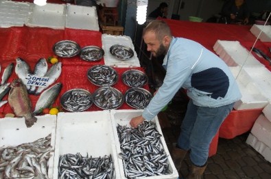 Balık Satıcıları Sezondan Memnun Değil