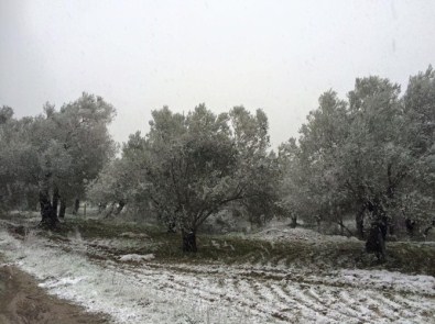 Bu Da Kar Tatlısı...