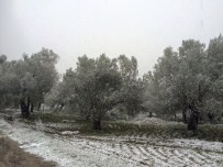 NOSTALJI - Bu Da Kar Tatlısı...