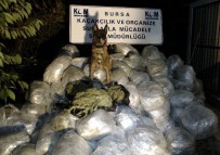 Bursa'da 414 Kişi Uyuşturucu Suçundan Tutuklandı