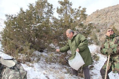 Yaban Hayatına Dondurucu Soğukta Yem Takviyesi
