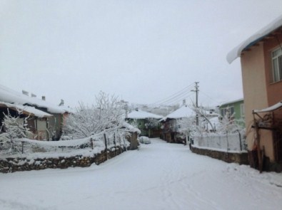 Adana'nın Kuzey İlçesinde Kar Esareti