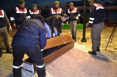 Balıkesir'de Mültecilerin Cesetleri Sahile Vuruyor