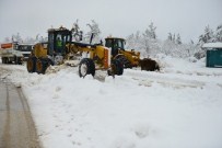 KAYAPA - Nilüfer'de Karla Mücadele Aralıksız Devam Ediyor