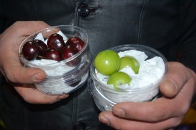 5 Çeyrek Altına 1 Kilo Erik