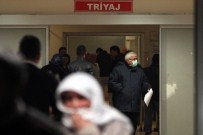 ADANA VALİSİ - Adana'da Domuz Gribi İddiası