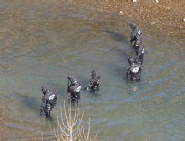 Bayram ve Kaan için ilçe seferber oldu