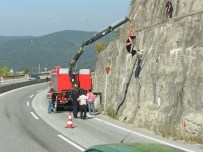 Düzce İtfaiyesi 2015 Yılında 50 Hayvan Kurtardı