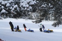 KAYAK TUTKUNLARI - Kayak Severler Sarıkamış Cıbıltepe Kayak Tesislerine Akın Etti