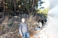 Kumluca'da Orman Yangını