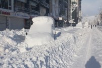 DAĞLıCA - Yüksekova Kara Gömüldü