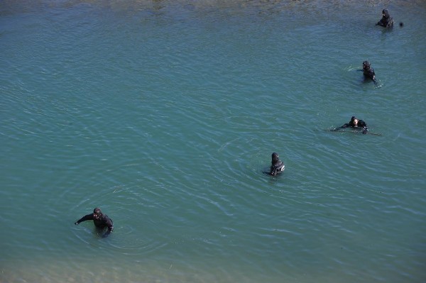Bayram ve Kaan için ilçe seferber oldu