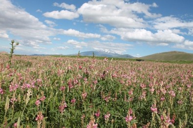 Anadolu Çocukları EXPO 2016 İçin Doğayı Fotoğrafladı