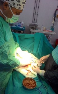 Beş Yaşındaki Çocuğun Karnından 52 Solucan Çıkarıldı