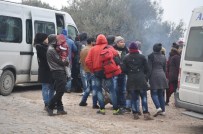 KÜÇÜKKUYU - Çanakkale'de Bir Günde Bin 317 Kaçak Yakalandı