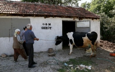 Or-Köyden 3 Milyon 750 Bin TL Destek