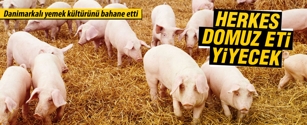 Danimarka'da 'zorunlu domuz yemeği' kararı