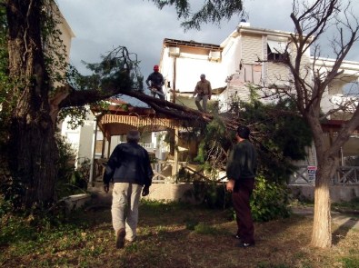 Lodos Didim'i Yıktı Geçti