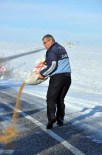 YABANİ HAYVANLAR - Sorgun'da Kar Yağışının Ardından Doğaya Yem Bırakıldı
