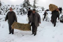 İBRAHIM ÇIFTÇI - Spil'e Yaban Hayvanları İçin Yem Bırakıldı