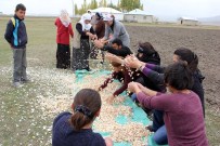 Büyükşehir Belediyesi'nden Tarımsal Kalkınmaya 6,5 Milyon TL Yatırım