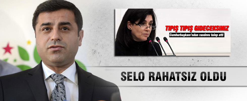 Demirtaş: Zana'nın talebi parti adına yapılmış bir başvuru değil