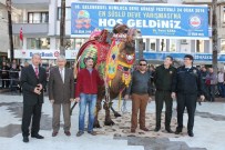 HÜSAMETTIN ÇETINKAYA - 'En Süslü' Develer Podyuma Çıktı