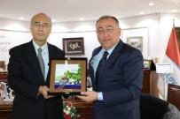 KÖRFEZ KÖPRÜSÜ - Japonya Başkonsolosundan Yalova Protokolüne Ziyaret