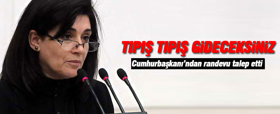 Leyla Zana Erdoğan'dan randevu istedi