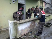 SALTUKOVA - Zonguldak'da Uyuştucu Operasyonu