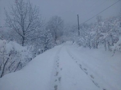 Alaplı'da Köy Yolları Kardan Kapandı