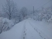 Alaplı'da Köy Yolları Kardan Kapandı