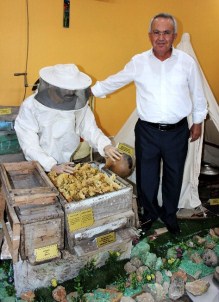 Arıcılar Saha Deneyimlerini Kongrede Paylaşacak