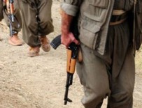 Cizre'de 265 terörist öldürüldü