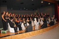 Dim-Der'den Barış Konseri