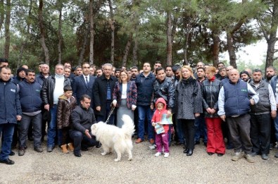 Gaziantep'te Ev Ve Süs Hayvan Sahipleri Sertifikalı Satış Yapabilecek