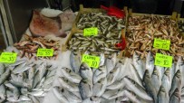 BALIK FİYATLARI - Kar Düştü Açıklaması Balık Fiyatları Uçtu