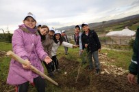Minik TEMA Gönüllüleri İZAYDAŞ'ta Fidan Dikti