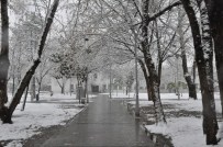 KARDAN ADAM - Sakarya'dan Kar Manzaraları