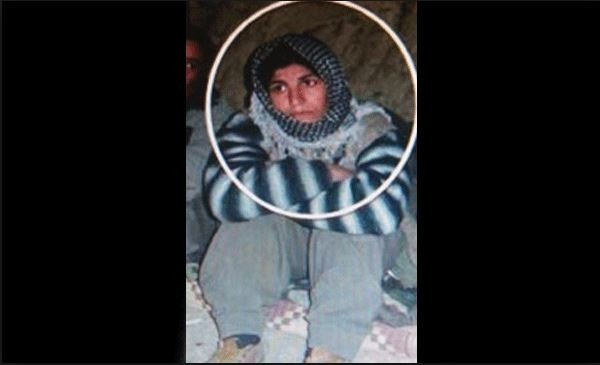 Saldırı organize eden PKK'lı öldürüldü