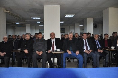 Kaya, Güven Tazeledi