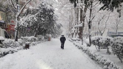 Kocaeli'de Otomobiller Yollarda Kaldı