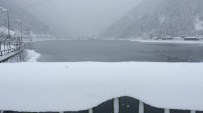 Uzungöl'de Kar Yağışı