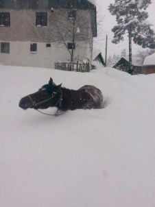 Abant Yolunda Kar Kalınlığı Bir Metreye Ulaştı